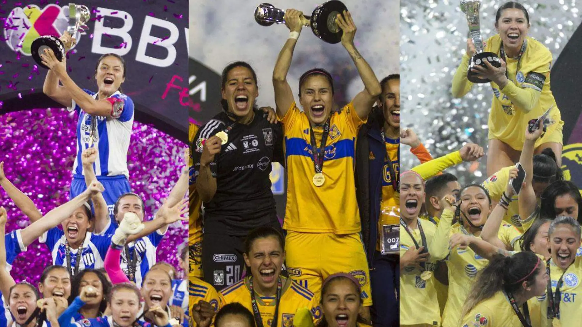 ganadoras liga femenil